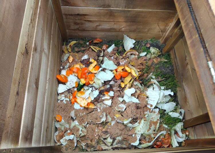 Ghid practic de compostare: de la gospodărie la balcon