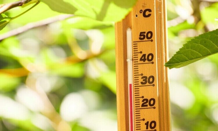 METEO// Zi cu mult soare și temperaturi înalte