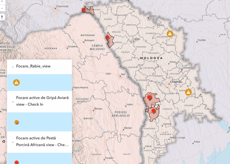 ANSA anunță trei focare de pestă porcină africană, confirmate în raioanele Râșcani și Leova