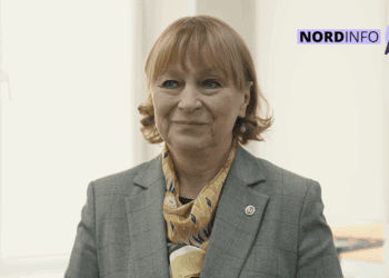 Ala Nemerenco despre perchezițiile de la spitalele din nordul țării: Poziția mea și a ministerului o știu toți