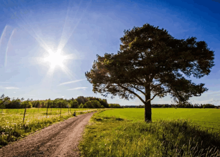 METEO// Temperaturii medii și fără precipitații