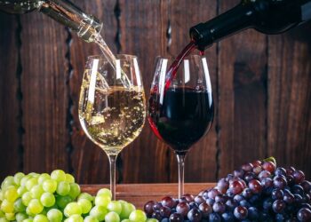 Vești bune pentru vinificatori. Recolta de struguri pentru vin din acest an în R. Moldova ar putea fi cu 60% mai mare decât cea de anul trecut