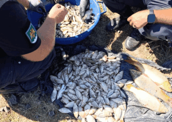 ВИДЕО// Двое мужчин находятся под следствием. Использовали электрическое устройство для ловли рыбы в районе Кагул