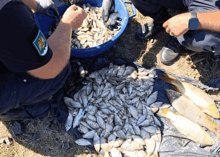 ВИДЕО// Двое мужчин находятся под следствием. Использовали электрическое устройство для ловли рыбы в районе Кагул