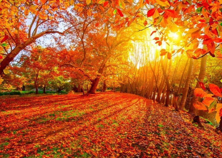 METEO // Temperaturile mai scad ușor. Vezi câte grade vot fi astăzi