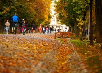 METEO // Zi perfectă pentru plimbare. Vezi câte grade vor fi astăzi