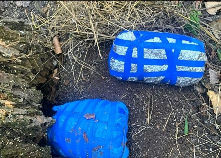 VIDEO // Droguri de peste 2,5 milioane de lei ridicate de polițiști. Un minor și un deținut implicați