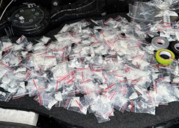 VIDEO // Percheziții într-un dosar de trafic de droguri. Două persoane din Bălți și Florești arestate