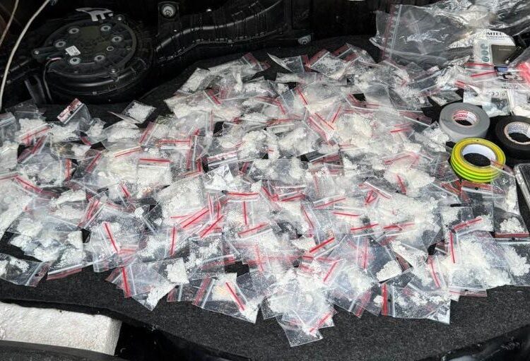 VIDEO // Percheziții într-un dosar de trafic de droguri. Două persoane din Bălți și Florești arestate