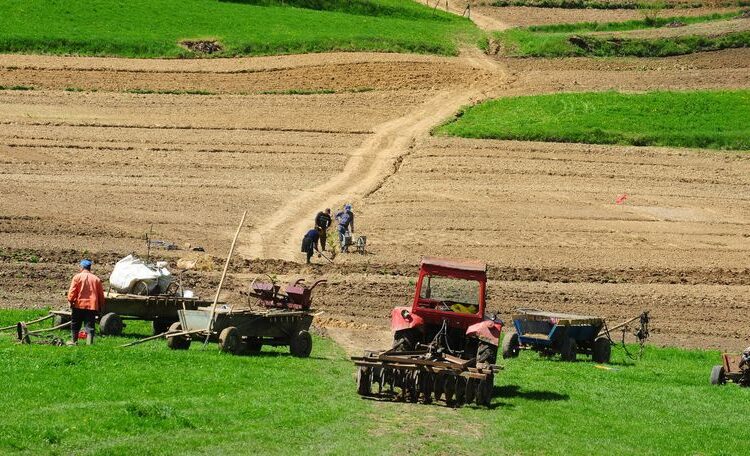 Fermierii din raionul Dubăsari, confruntați cu noi bariere impuse de structurile de la Tiraspol