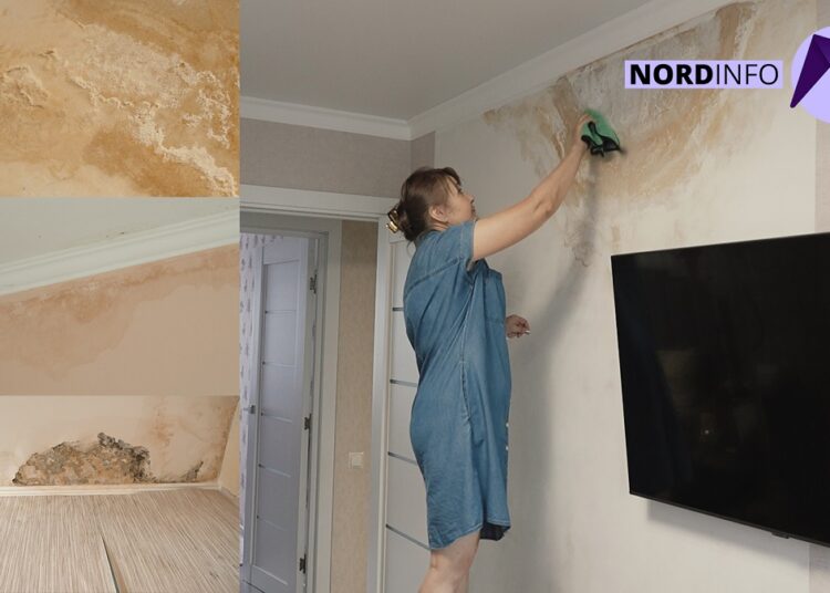 VIDEO // Trăiesc în mucegai din cauza acoperișului defect. Reacția directoarei GLC la problema locatarilor unui bloc din Bălți