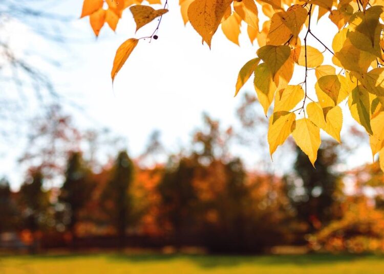 METEO // Cer noros. Temperaturile urcă astăzi până la 27°C
