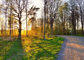 METEO // Cer variabil în Nord și Centru. Ploi slabe la Sud