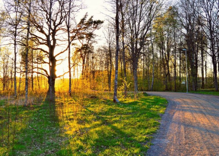 METEO // Cer variabil în Nord și Centru. Ploi slabe la Sud