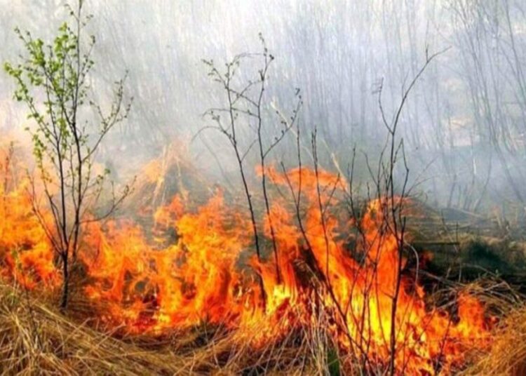 Atenție! E Cod Galben pericol de incendiu în mai multe localități din țară