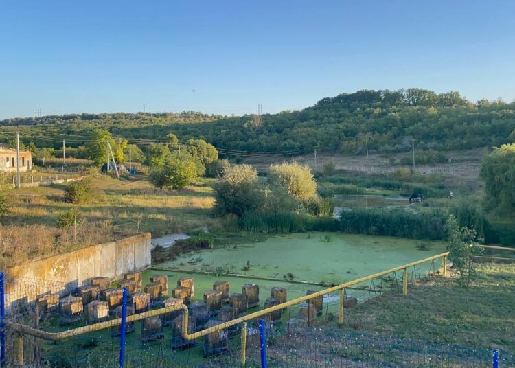 Cu suportul UE, iazul din Cubolta va trece printr-un amplu proces de reconstrucție. Primar: „Înseamnă siguranță pentru oameni, oportunități pentru antreprenori și un spațiu public mai sănătos pentru toți”