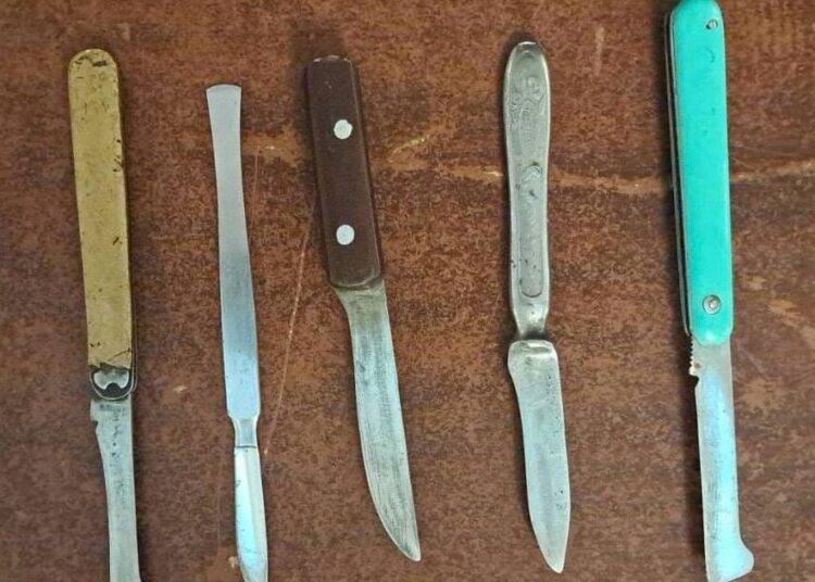 O femeie din Republica Moldova a încercat să intre în Parlamentul României cu șase cuțite