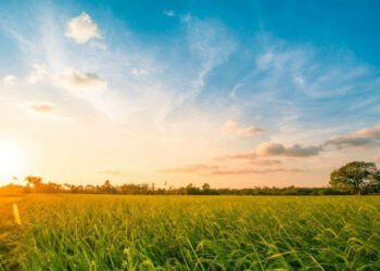 METEO// Zi cu temperaturi înalte. Cer senin, dar fără precipitații