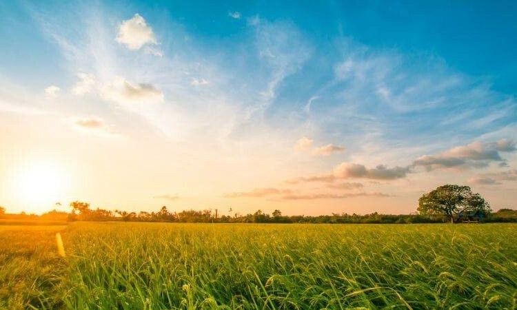 METEO// Zi cu temperaturi înalte. Cer senin, dar fără precipitații