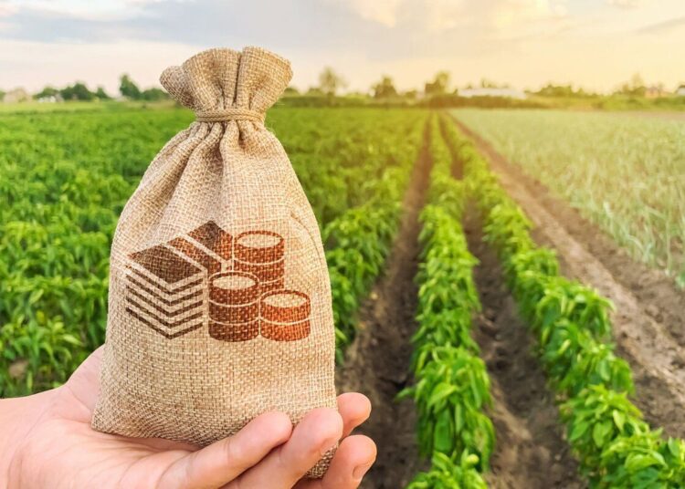 VIDEO // Guvernul alocă 100 de milioane de lei fermierilor afectați de intemperii. Dorin Recean: „Avem grijă de oameni și de roada muncii acestora”