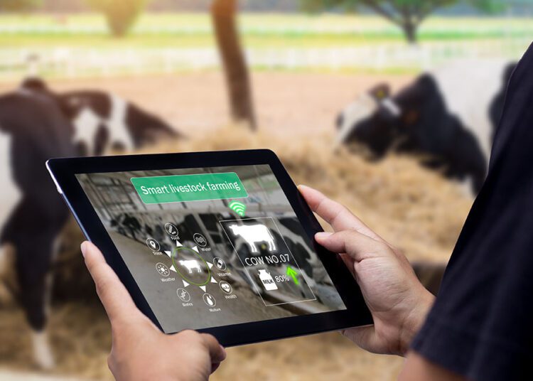 В колледже села Брэтушень, Единецкого района, планируется построить учебную ферму для подготовки учеников