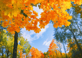 METEO // Cer variabil și fără precipitații. Câte grade vor fi astăzi