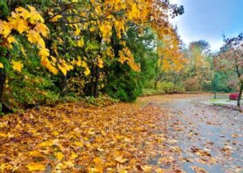 METEO // Temperaturile încep să scadă. Câte grade vor fi astăzi