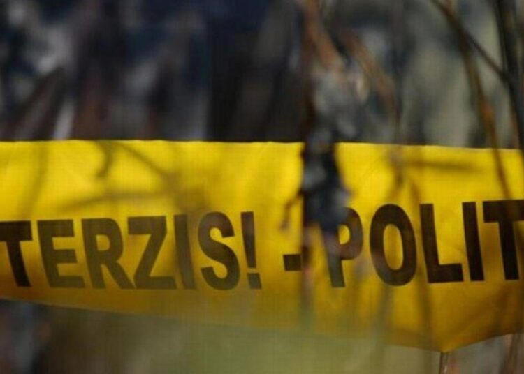 Crimă la Soroca: Un bărbat a fost legat de un cal, târât în pădure și omorât în bătaie de doi tineri