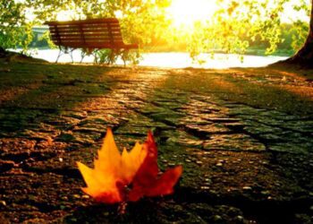 METEO // Cer variabil și fără precipitații. Vezi câte grade vor fi astăzi