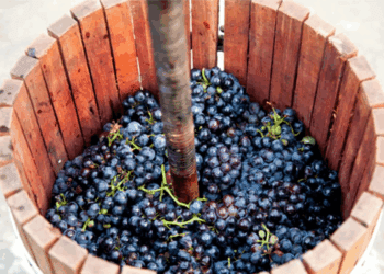 Salvatorii din Bălți vin cu atenționări în sezonul de fermentare a vinului