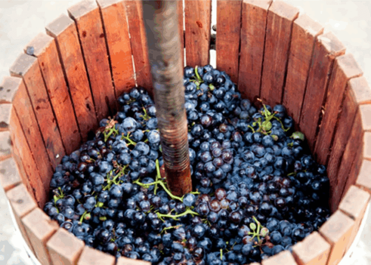 Salvatorii din Bălți vin cu atenționări în sezonul de fermentare a vinului