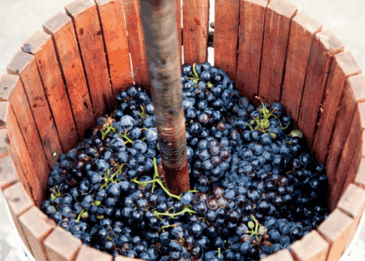 Бельцкие спасатели предупреждают: сезон брожения вина — повышенный риск!