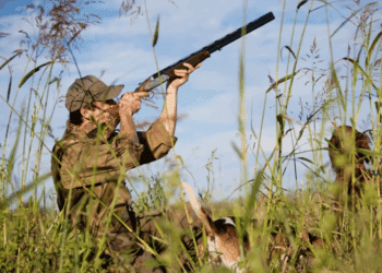 В день выборов охота в пограничных зонах запрещена