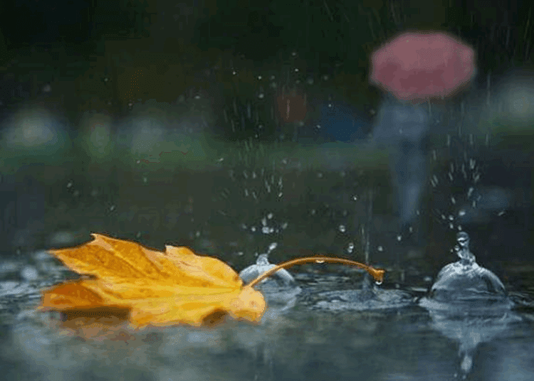 METEO// Ploi și cer noros în prima zi de toamnă