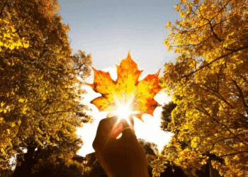 METEO// Cer noros, dar fără precipitații