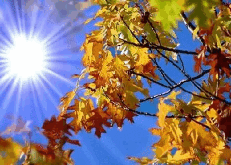 METEO// Temperaturi înalte la început de luna septembrie. Câte grade vor fi astăzi