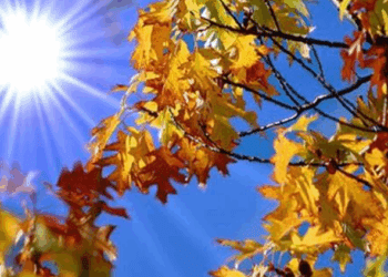 METEO // Cer predominant cu soare și fără precipitații