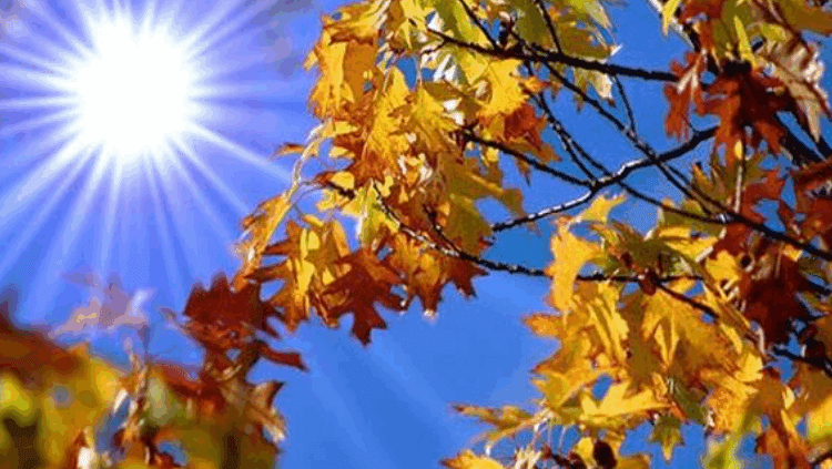 METEO // Cer predominant cu soare și fără precipitații