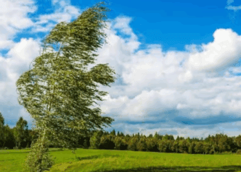 METEO // Cer variabil și Cod Galben de vânt. Câte grade vor fi astăzi