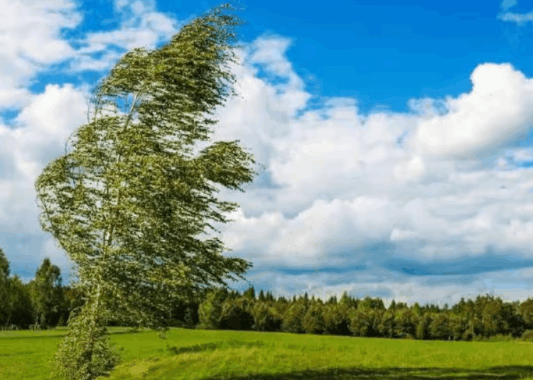 METEO // Cer variabil și Cod Galben de vânt. Câte grade vor fi astăzi