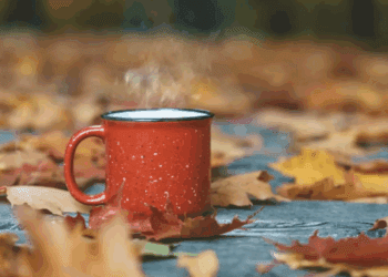 METEO // Zi posomorâtă, dar fără precipitații