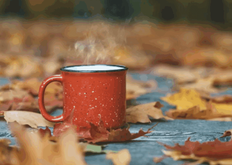 METEO // Zi posomorâtă, dar fără precipitații