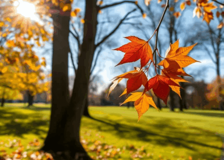 METEO // Temperaturi înalte și cer variabil. Câte grade vor fi astăzi