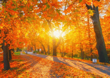 METEO // Cer variabil și temperaturi tomnatice. Câte grade vor fi astăzi