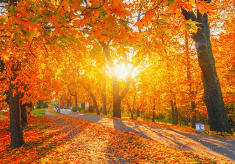 METEO // Cer variabil și temperaturi tomnatice. Câte grade vor fi astăzi