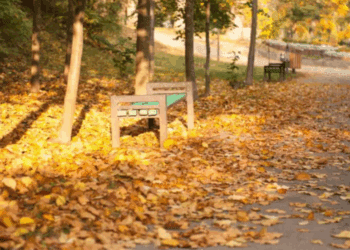 METEO // Temperaturi de toamnă. Câte grade vor fi astăzi