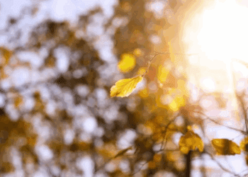 METEO // Timpul se răcește. Câte grade vor fi astăzi