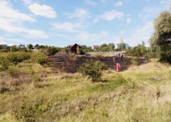 Un incendiu de vegetație a luat viața unei femei în raionul Ialoveni