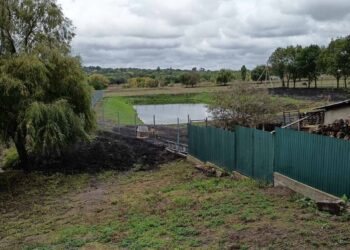 ФОТО // Инспекторы по охране окружающей среды выявили незаконное строительство водоёма в Сорокском районе