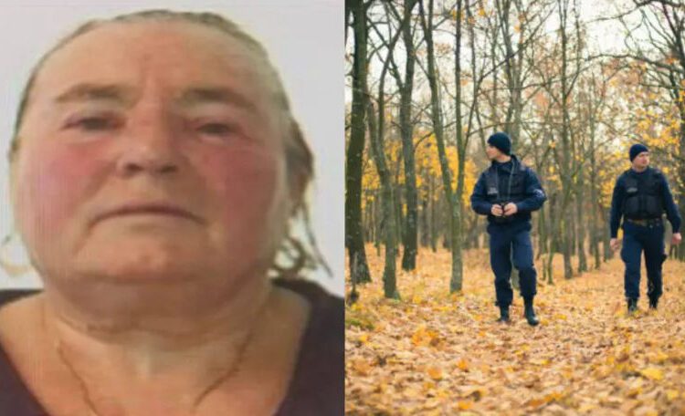 O femeie de 75 de ani din raionul Edineț a dispărut în pădure în timp ce culegea ciuperci. Autoritățile și localnicii continuă căutările